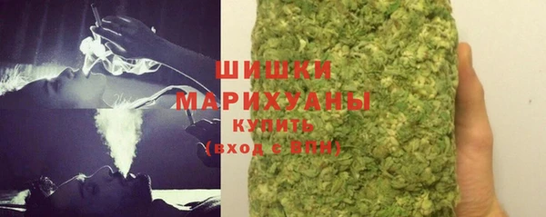 индика Куйбышев