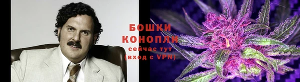 индика Куйбышев