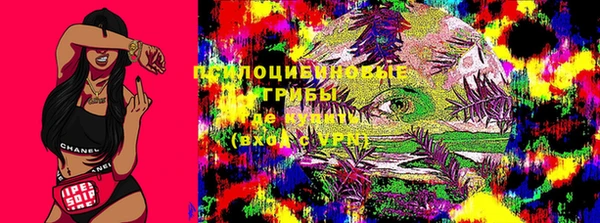индика Куйбышев