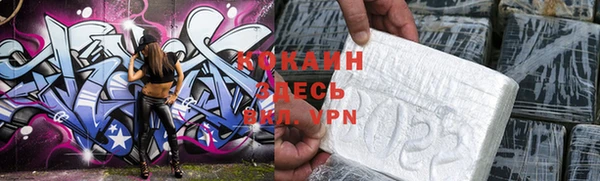 индика Куйбышев