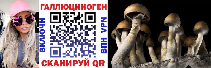 Купить закладки  Ивантеевка  Псилоцибиновые грибы GOLDEN TEACHER 