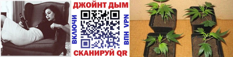 Конопля марихуана Ивантеевка